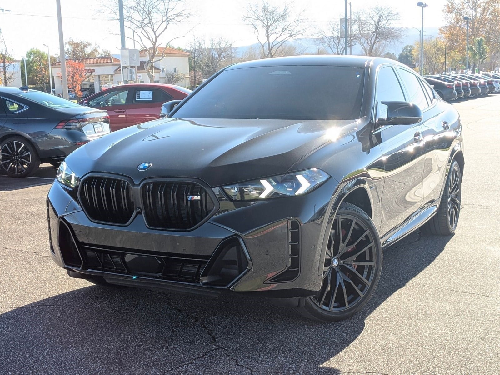 2025 BMW X6 M60i's photo