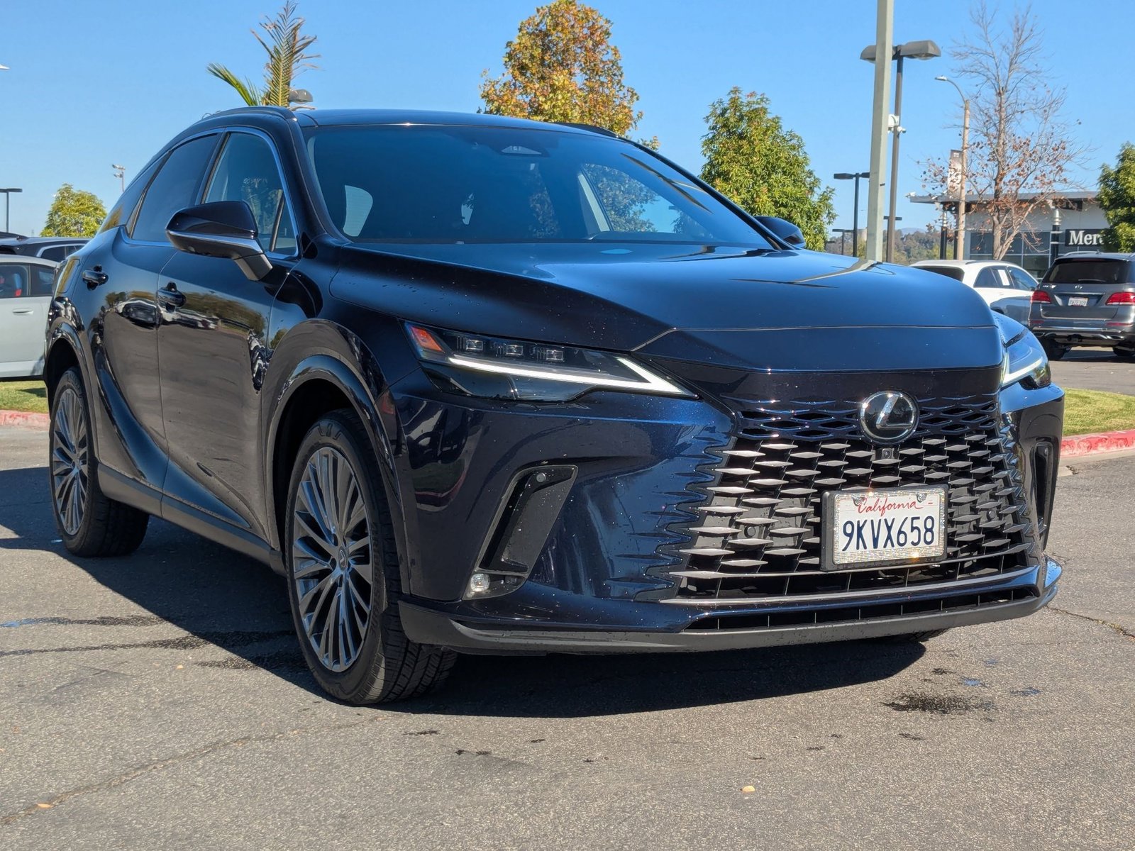 2024 Lexus RX 450h+ Luxury photo 3