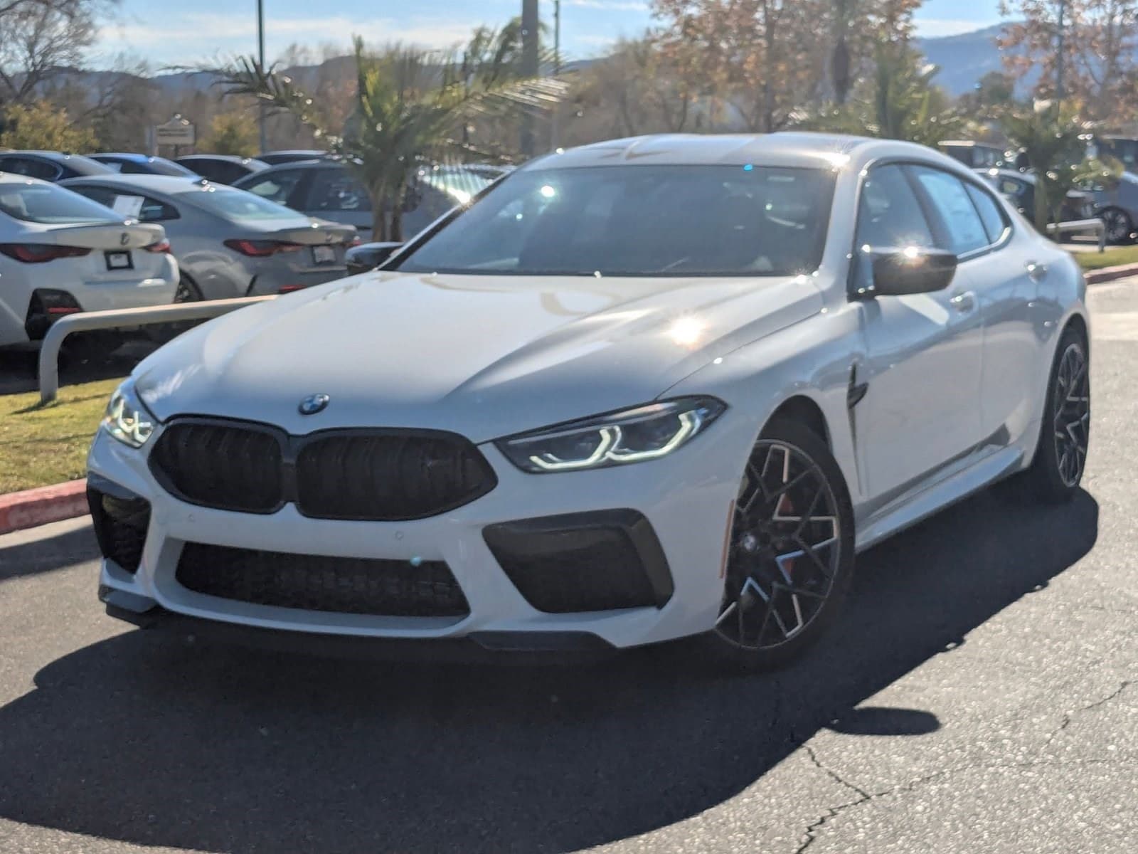 2025 BMW M8 Base's photo