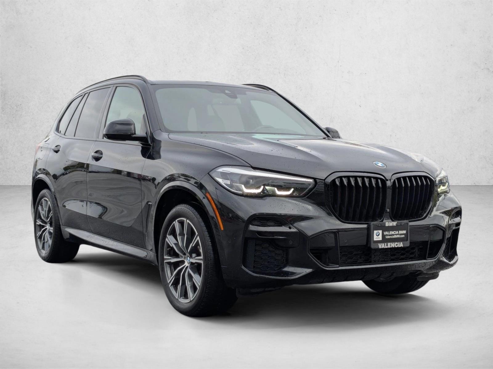 2023 Bmw X5 sDrive40i photo 2