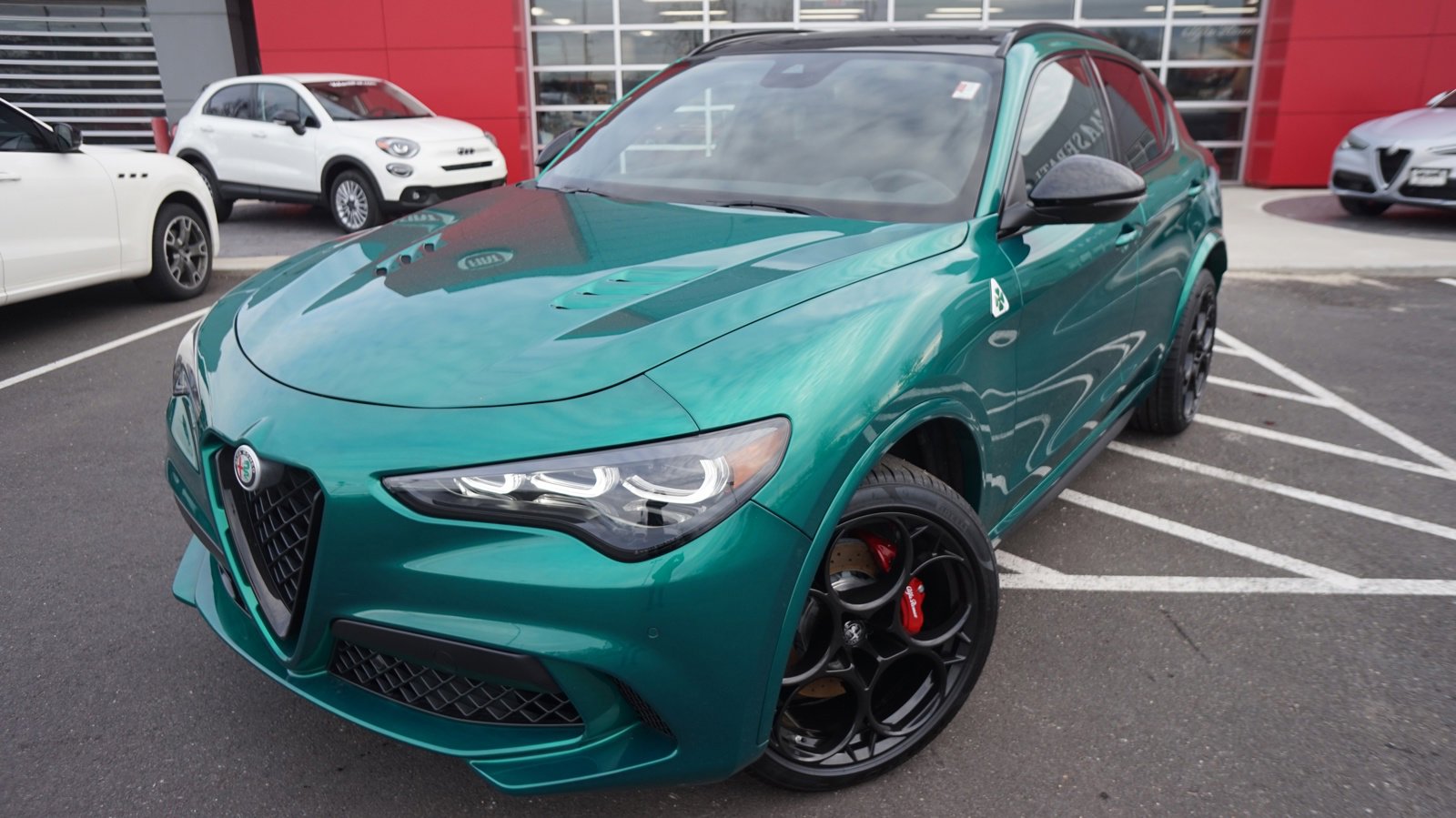 2024 Alfa Romeo Stelvio Quadrifoglio photo 3