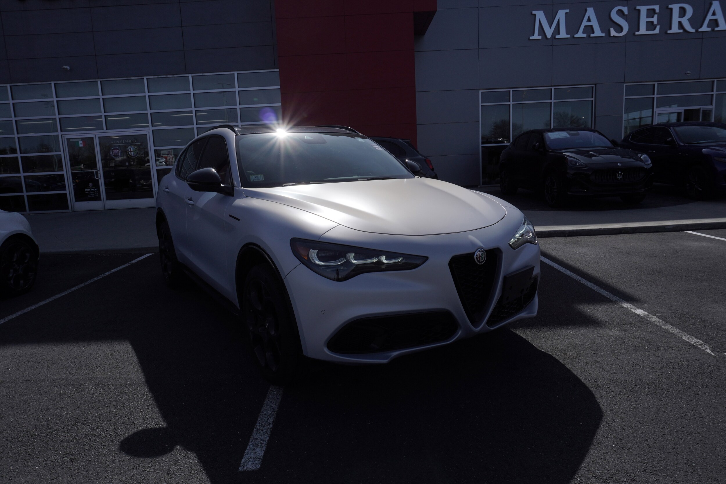 2024 Alfa Romeo Stelvio Tributo Italiano photo 2