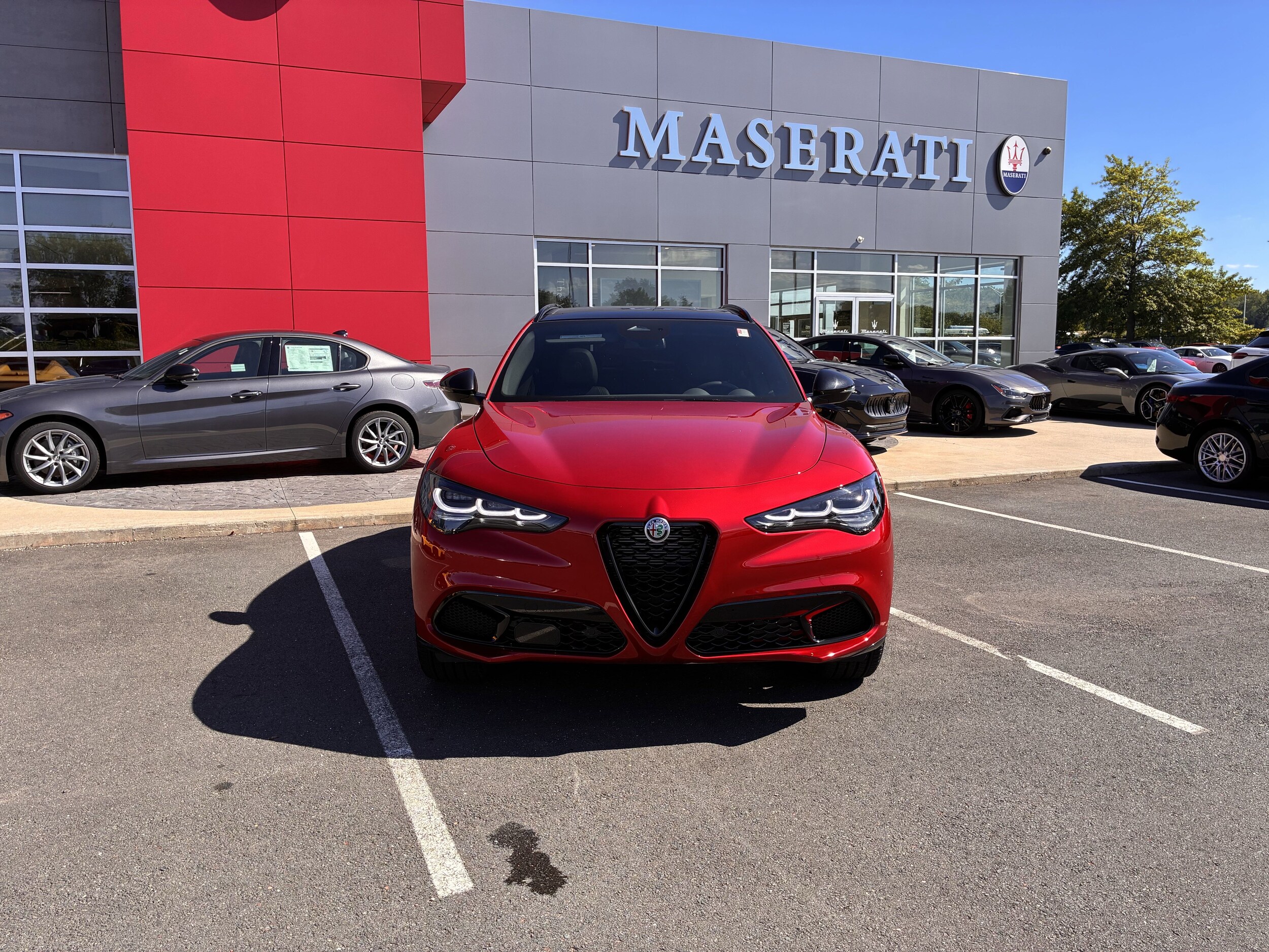 2025 Alfa Romeo Stelvio Sprint Base photo 3