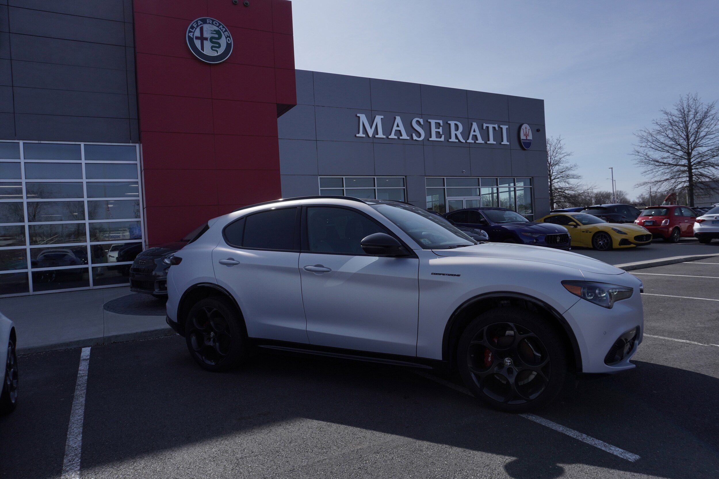 2024 Alfa Romeo Stelvio Tributo Italiano photo 3