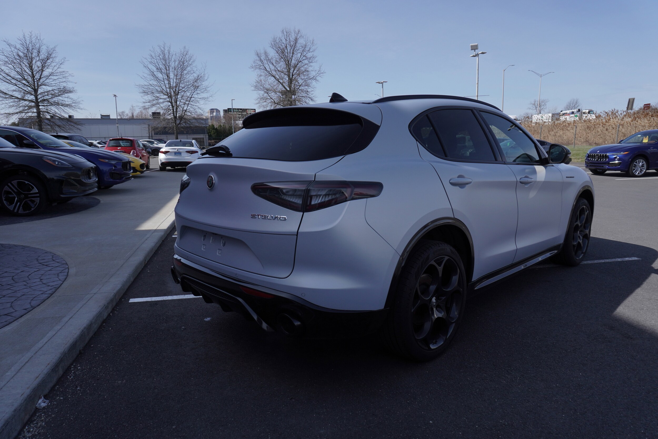 2024 Alfa Romeo Stelvio Tributo Italiano photo 4