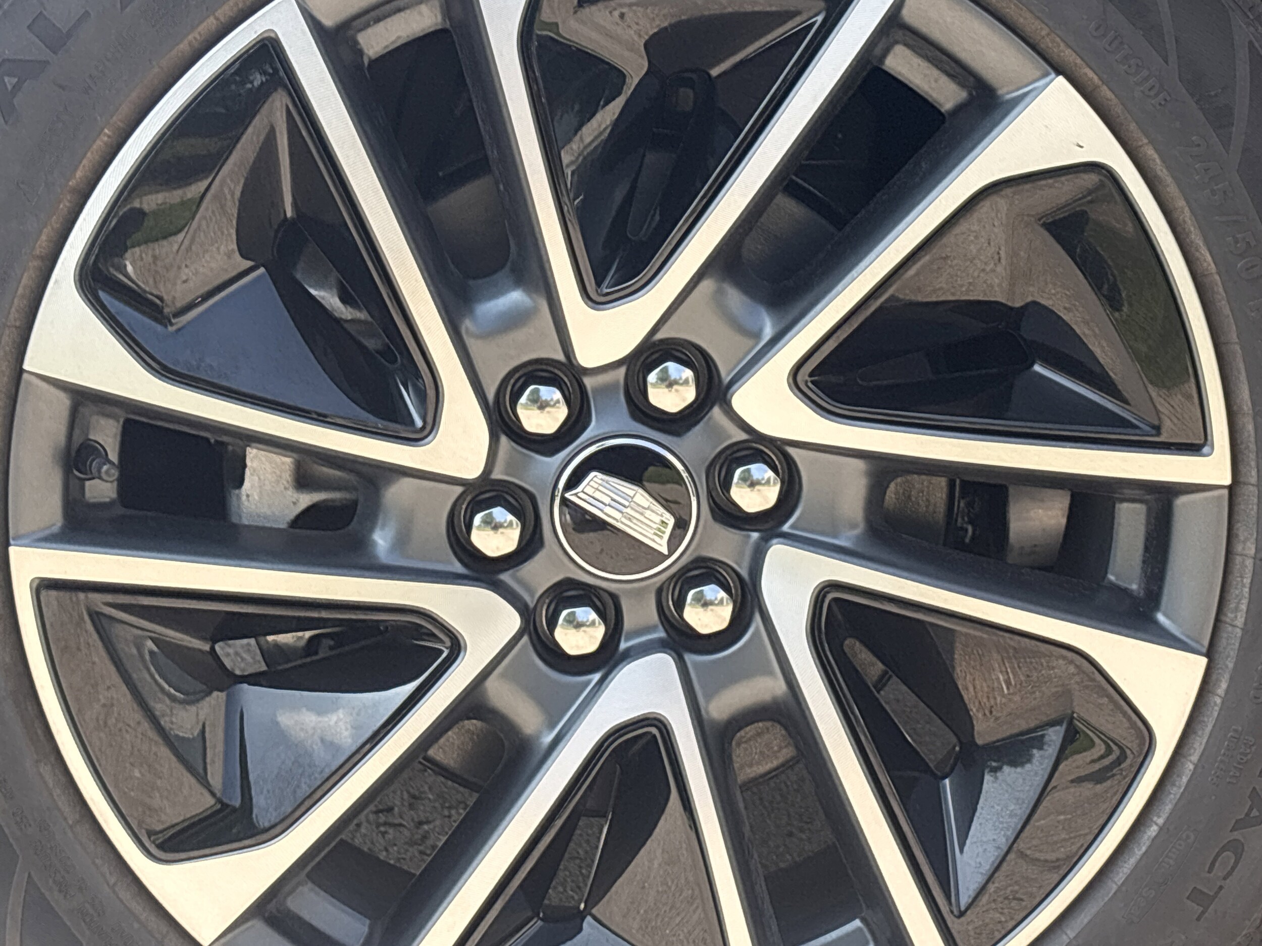 2025 Cadillac OPTIQ Sport 1 - Photo 18