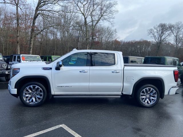 2024 Gmc Sierra 1500 Denali photo 3