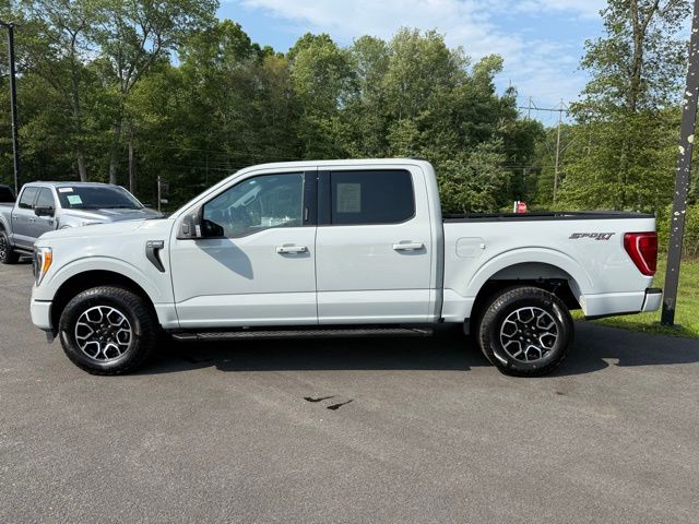 2023 Ford F-150 XLT photo 3