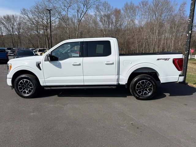 2023 Ford F-150 XLT photo 3
