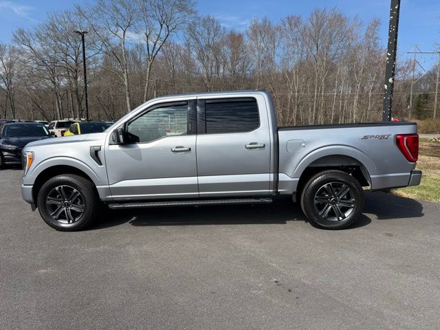 2023 Ford F-150 XLT photo 3