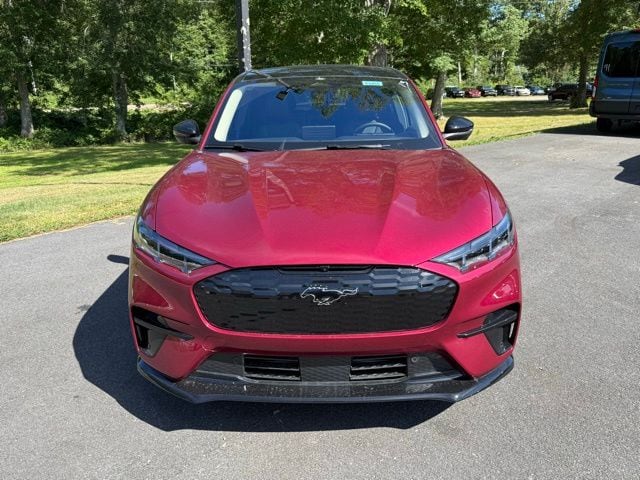 2025 Ford Mustang Mach-E Premium - Photo 10