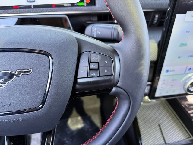 2025 Ford Mustang Mach-E Premium - Photo 21