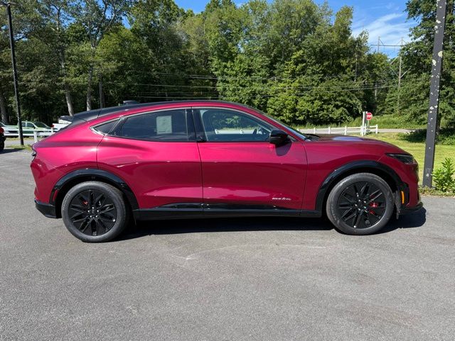 2025 Ford Mustang Mach-E Premium - Photo 8