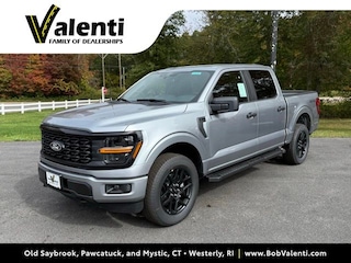 2025 Ford F-150 STX Truck