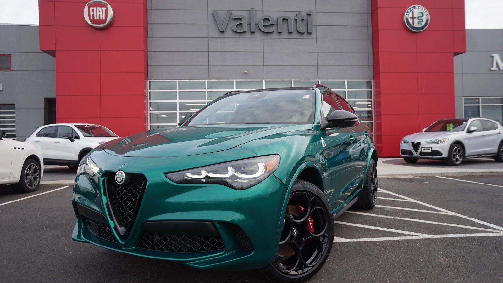 2024 Alfa Romeo Stelvio Quadrifoglio's photo