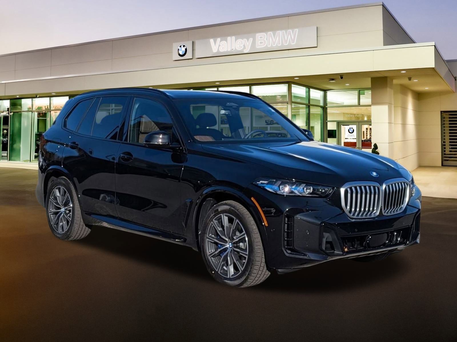 2026 BMW X5 50e's photo