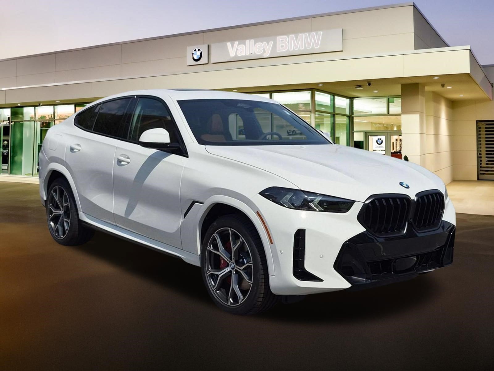2027 BMW X6 SUV 