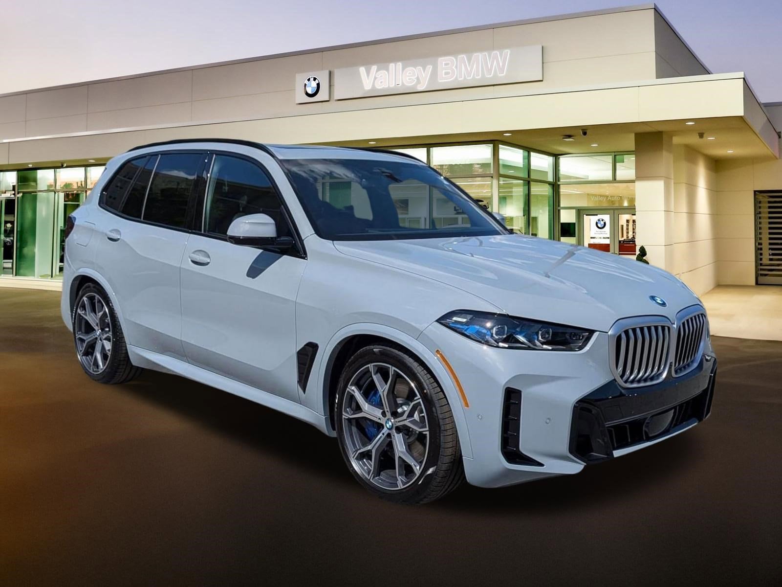 2026 BMW X5 xDrive50e's photo
