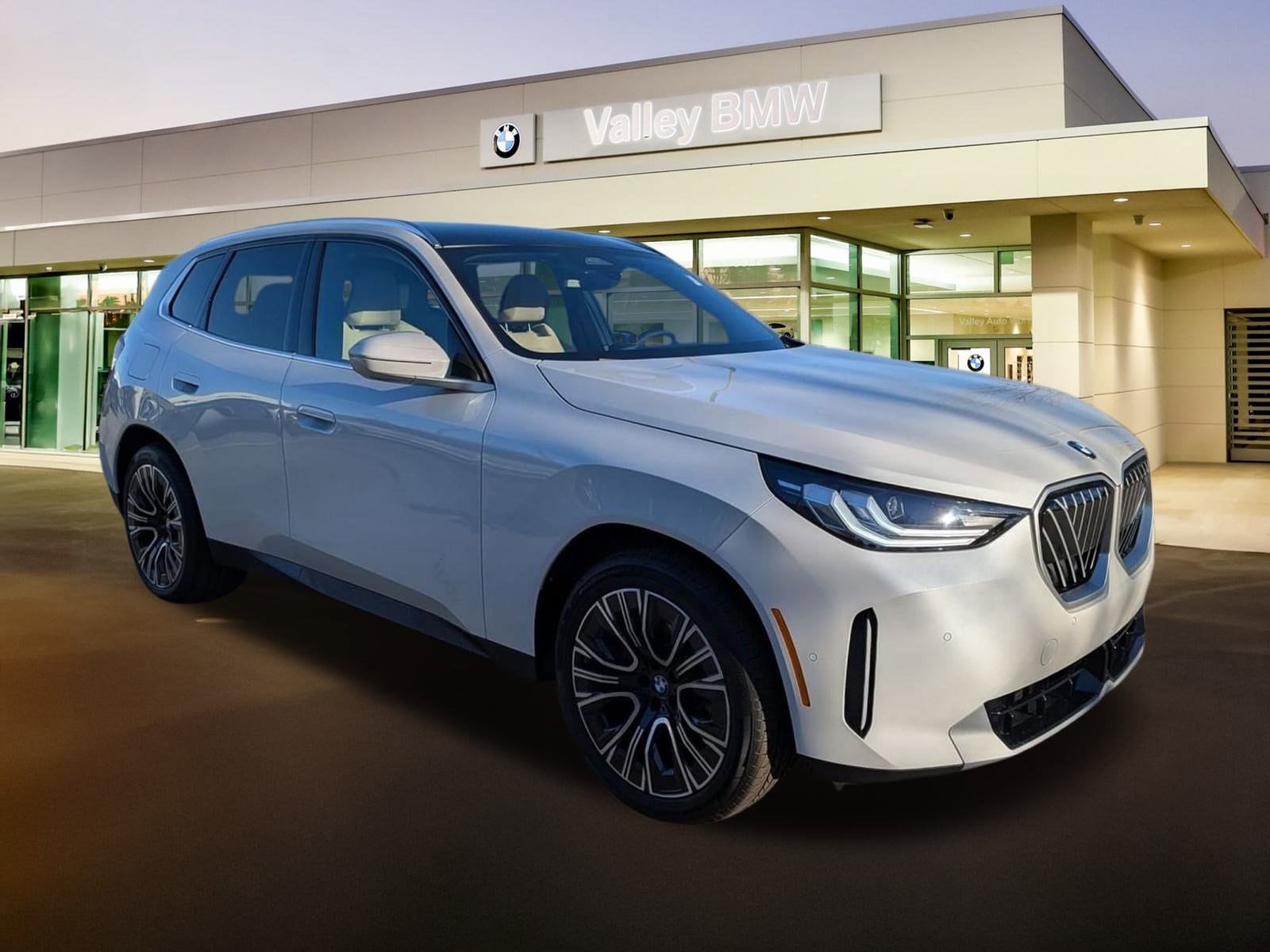 2026 BMW X3