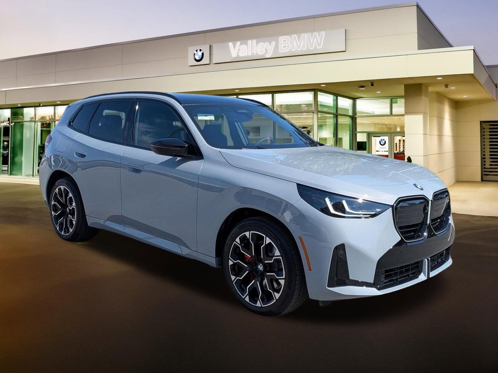 2026 BMW X3 M50 XDRIVE's photo