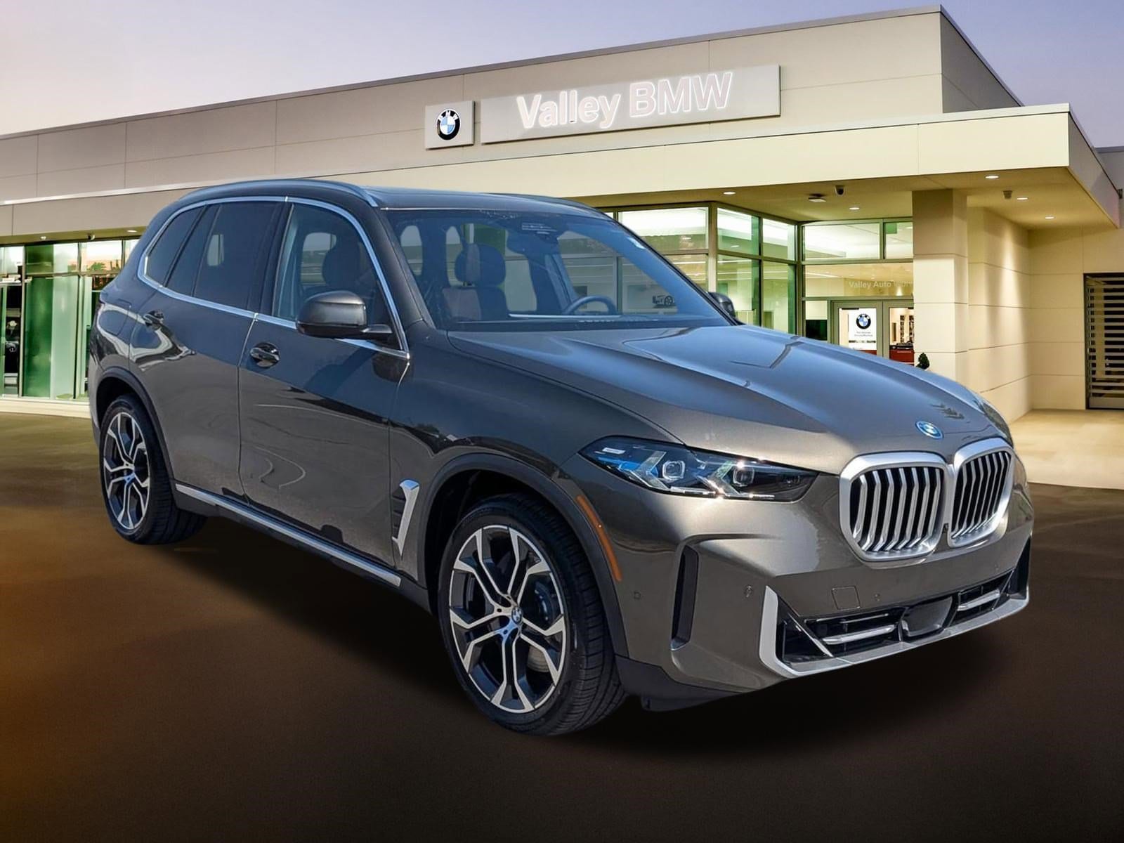 2026 BMW X5 xDrive50e's photo