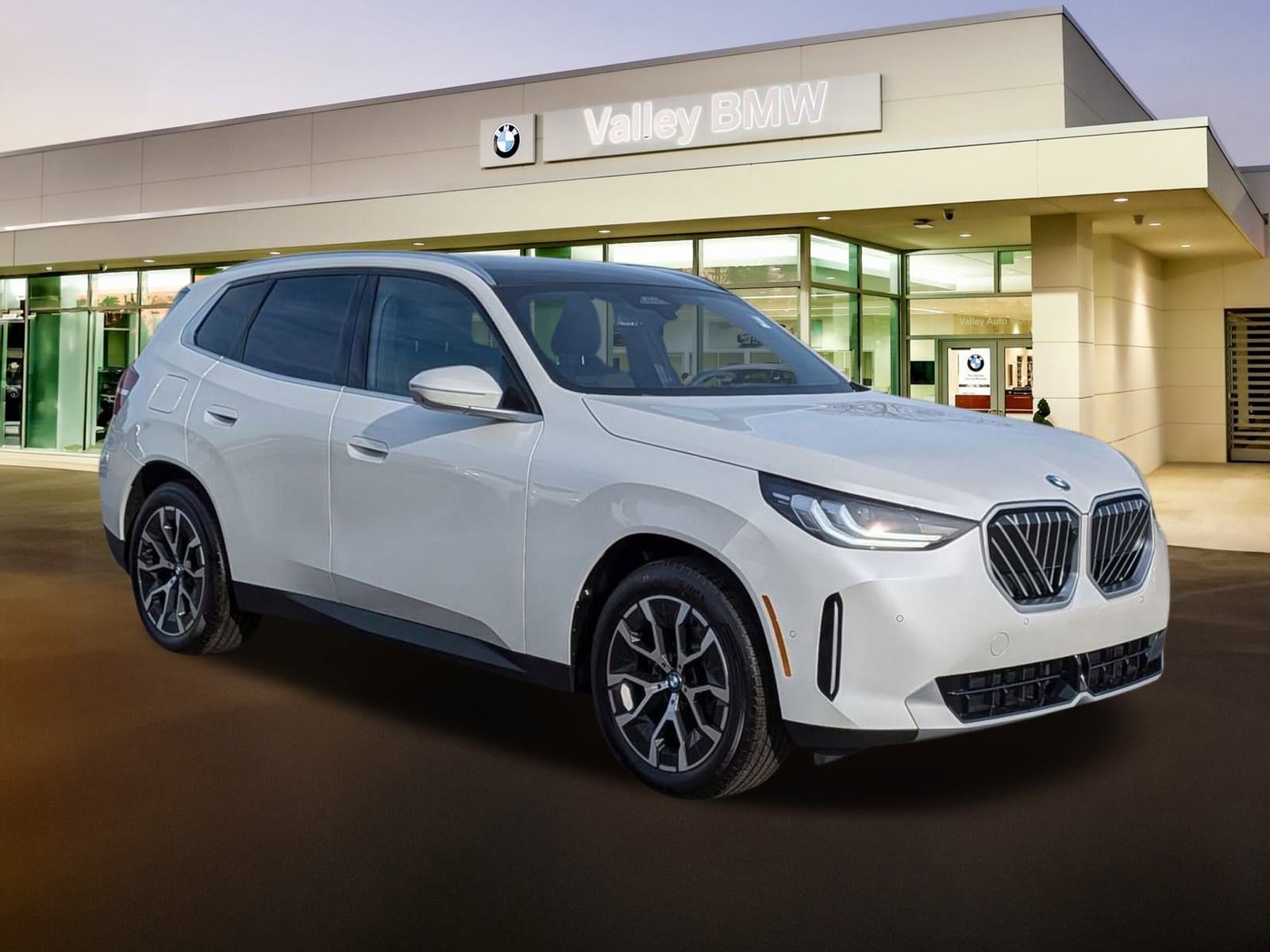 2026 BMW X3 30's photo