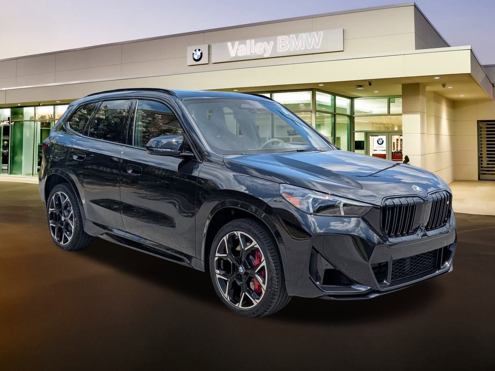 2025 BMW X1 SUV 