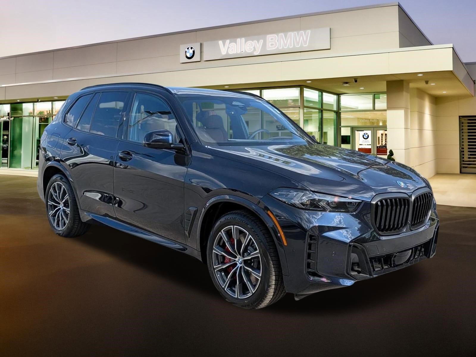 2026 BMW X5 xDrive50e's photo
