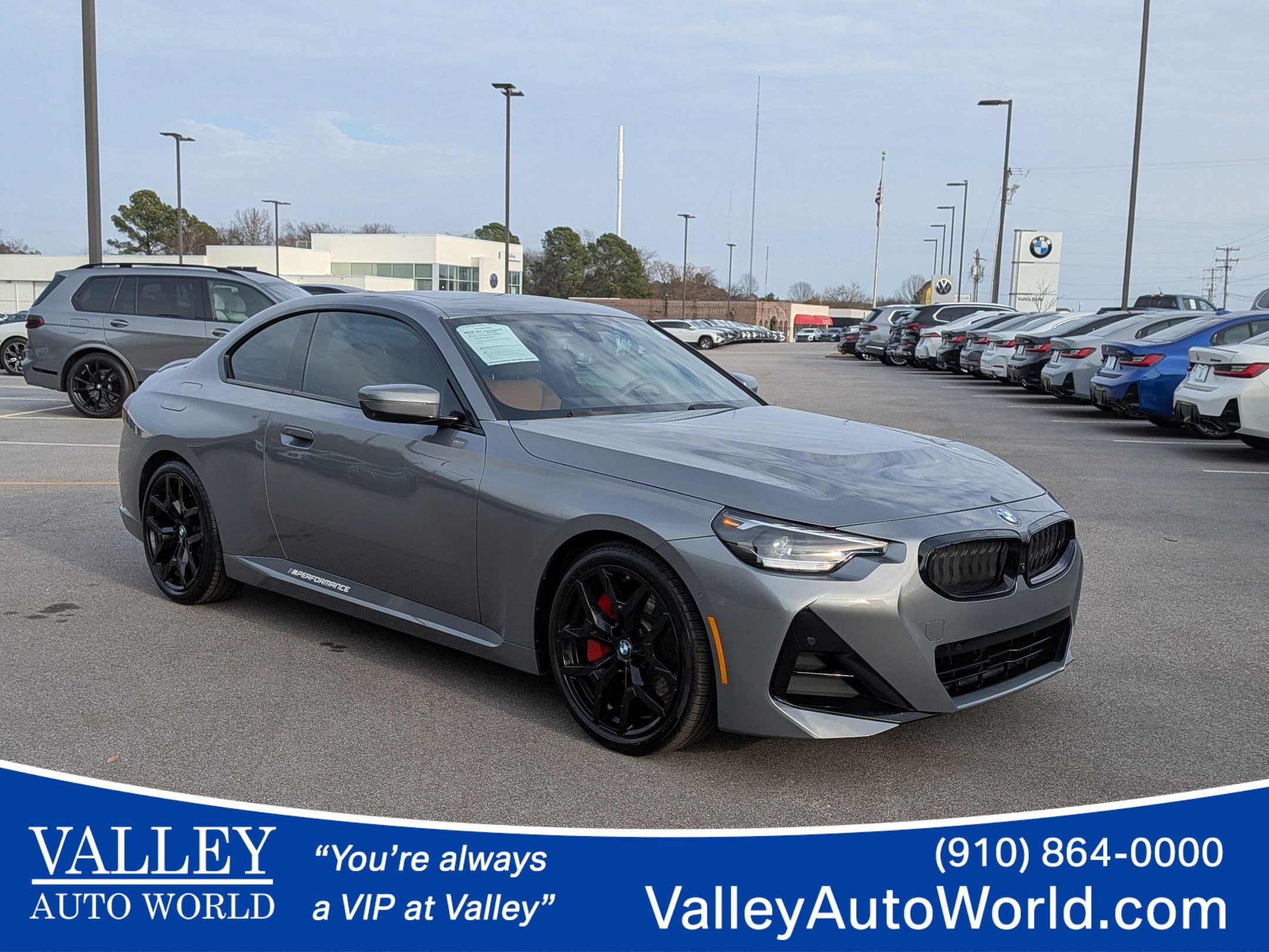 2025 BMW 2 Series 230i's photo