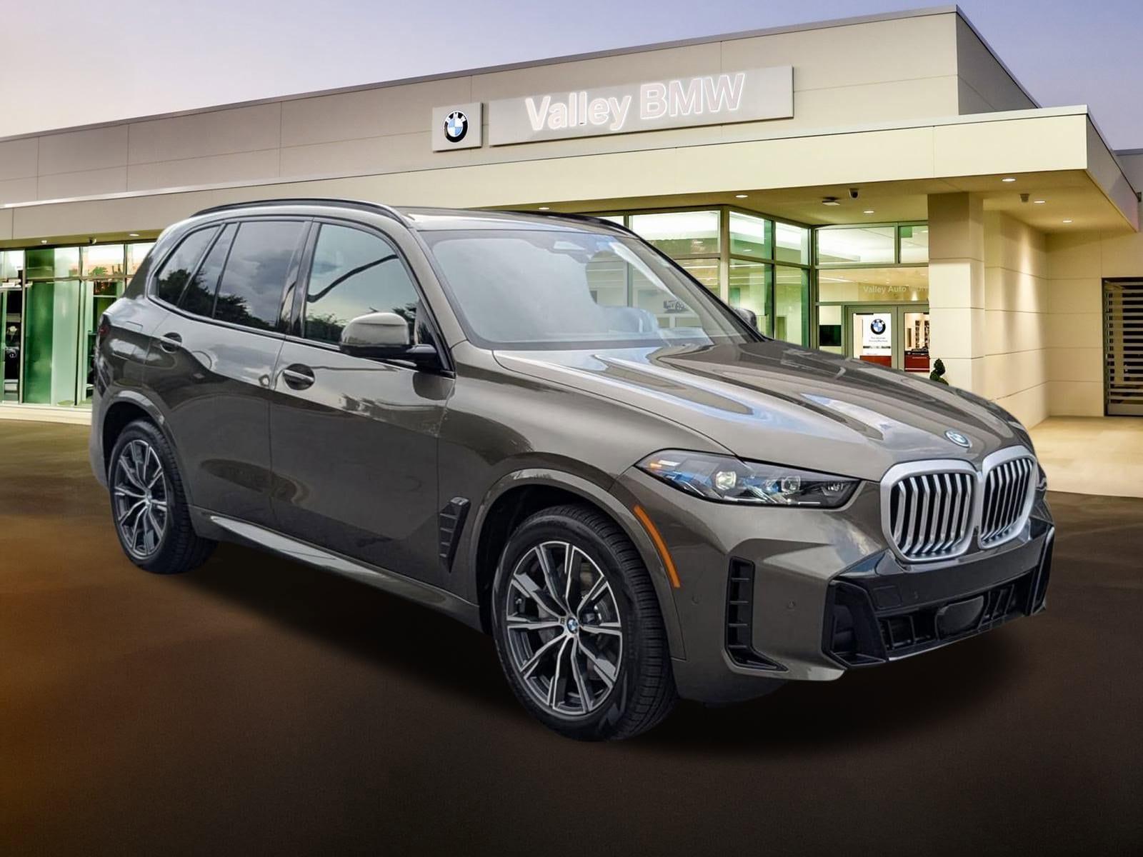 2026 BMW X5 PHEV xDrive50e
