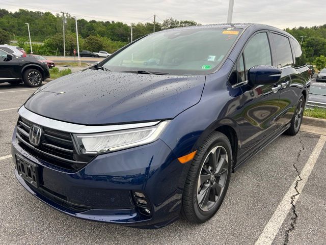 2024 Honda Odyssey Elite's photo