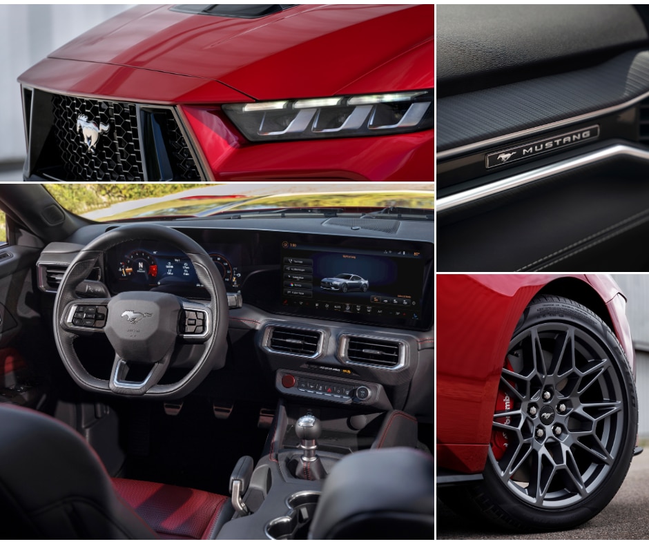 Mustang%20Collage.png
