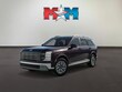  Hyundai Palisade Hybrid