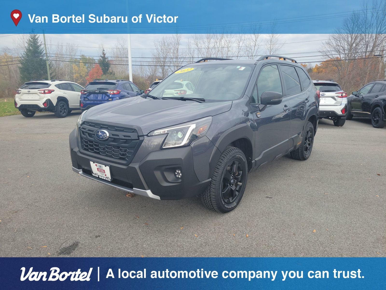 2022 Subaru Forester Wilderness's photo