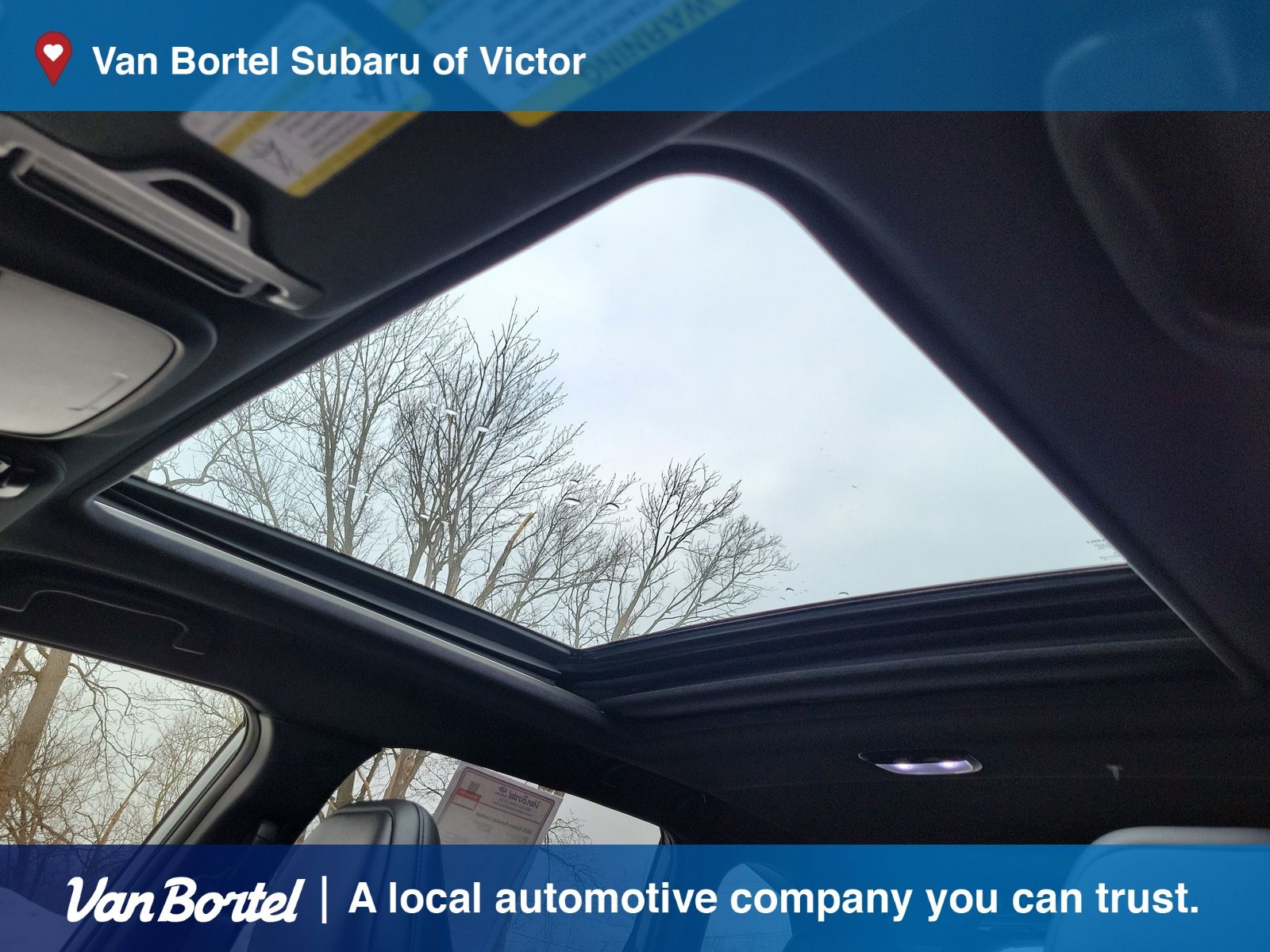 2025 Subaru Forester Limited - Photo 47
