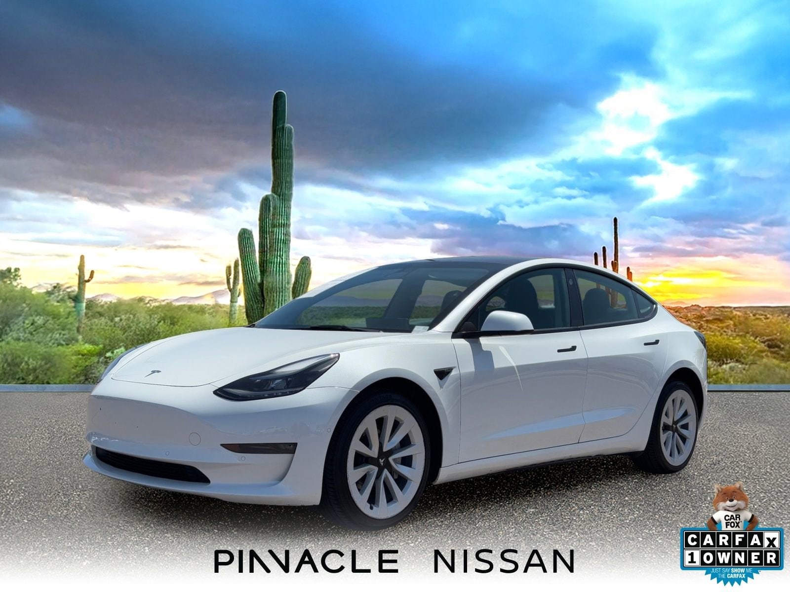 2022 Tesla Model 3 Long Range Dual Motor All-Wheel Drive's photo