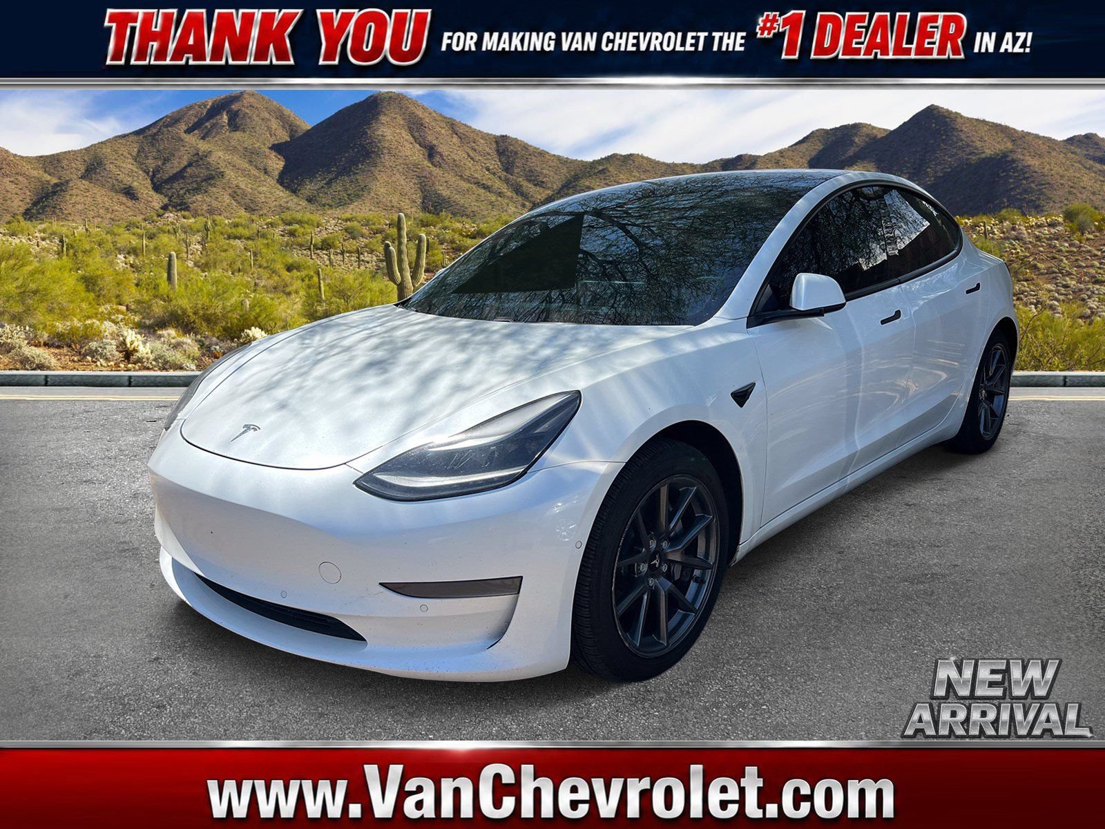 2021 Tesla Model 3 Standard Range Plus's photo