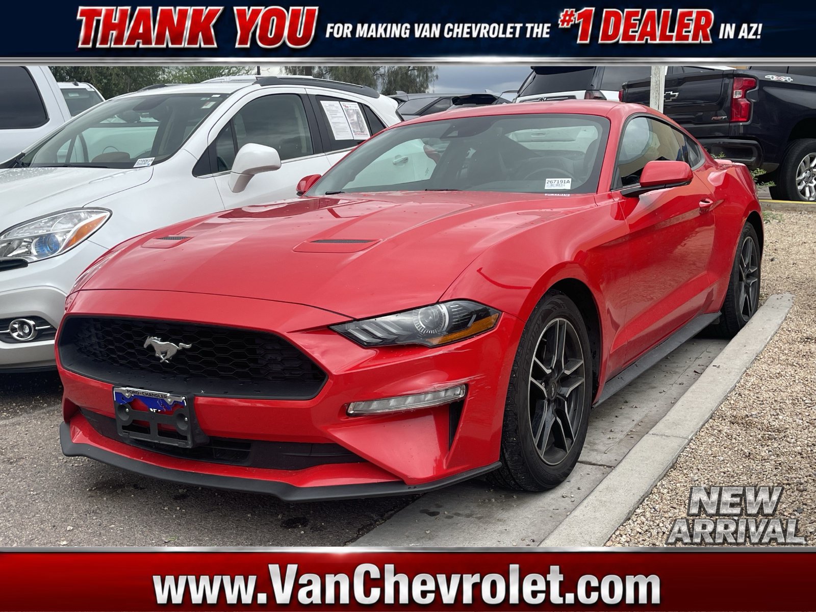  Ford Mustang