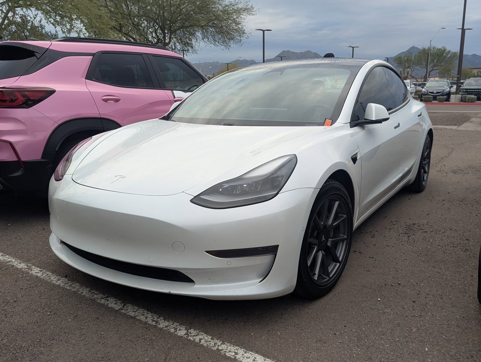 2021 Tesla Model 3 Base's photo