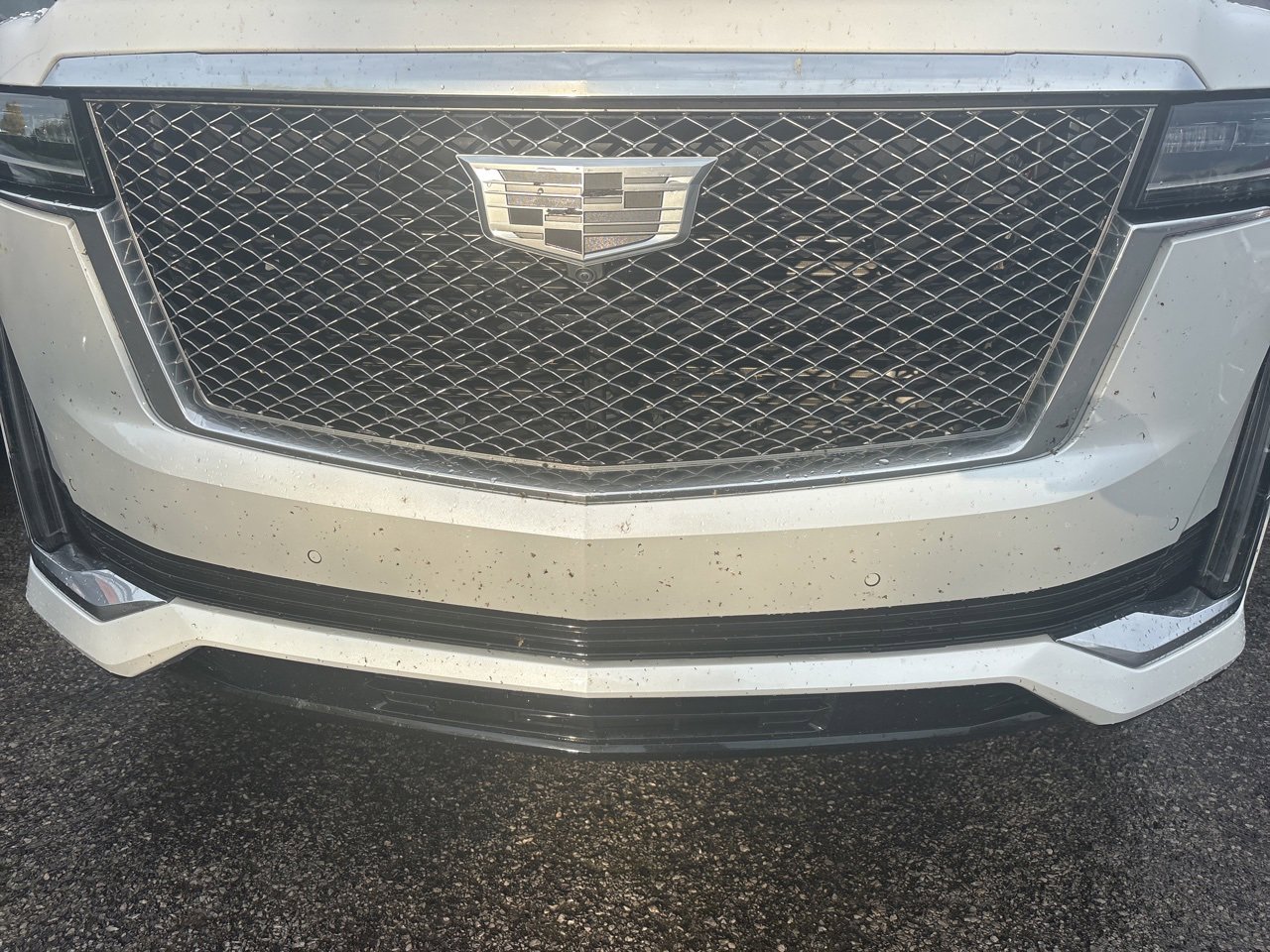2023 Cadillac Escalade Premium Luxury photo 4
