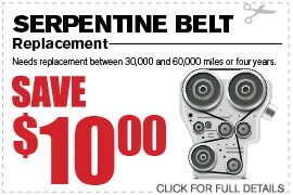 Serpentine Belt