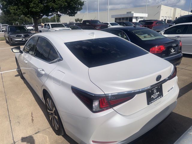 2020 Lexus ES 350 350's photo