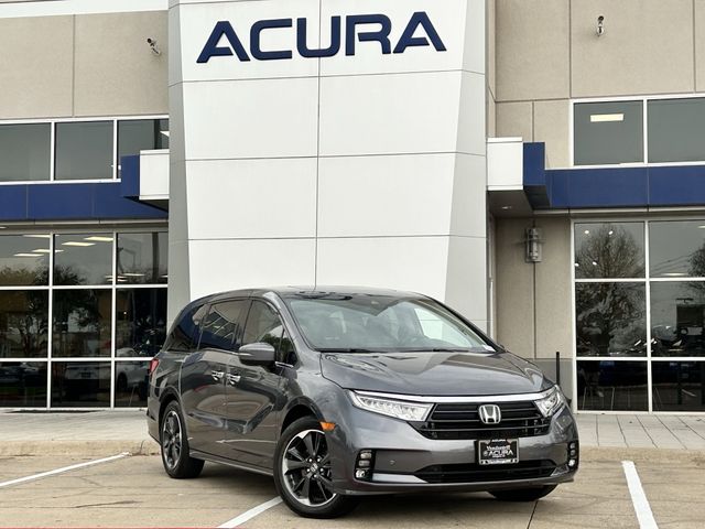 Used 2024 Modern Steel Metallic Honda Elite image 2