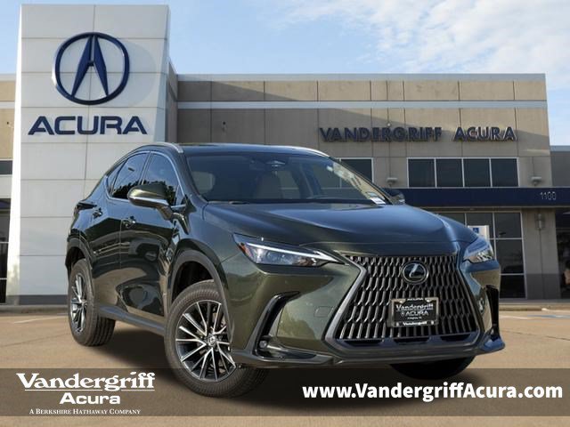 2024 Lexus NX
