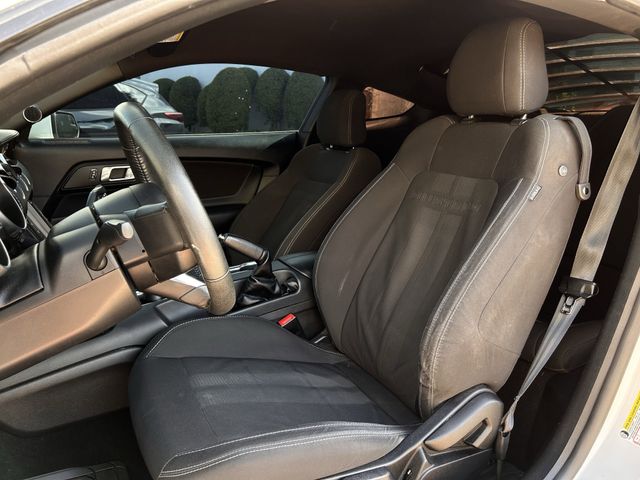 Used 2019 Oxford White Ford Ecoboost image 25