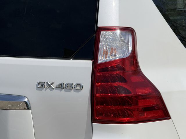 Used 2013 Starfire Pearl Lexus 460 Premium image 7