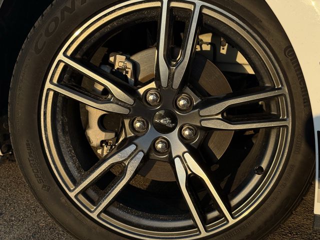 Used 2024 Oxford White Ford Ecoboost Premium image 9