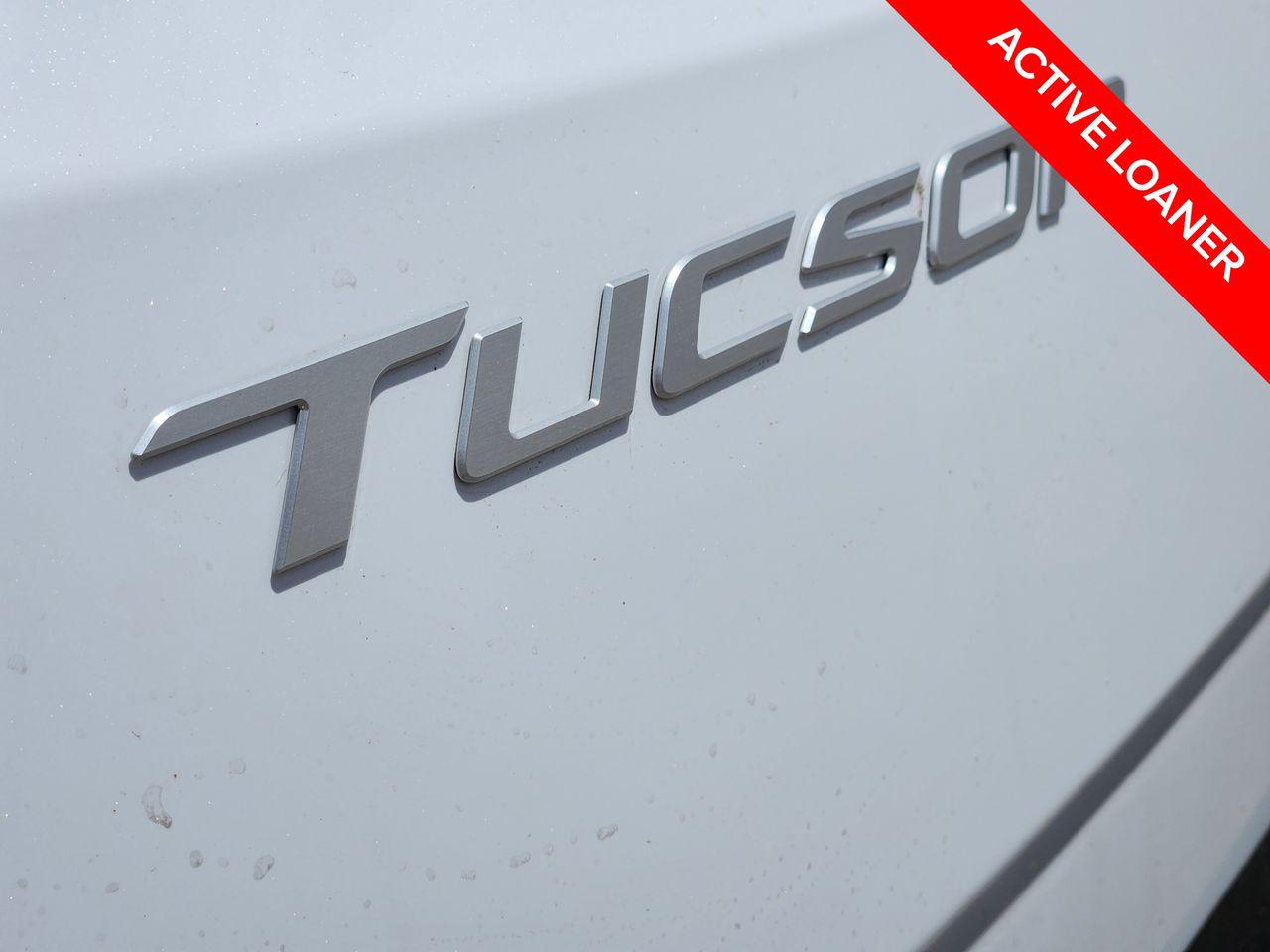 New 2026 W6H White Hyundai SEL Premium FWD image 9