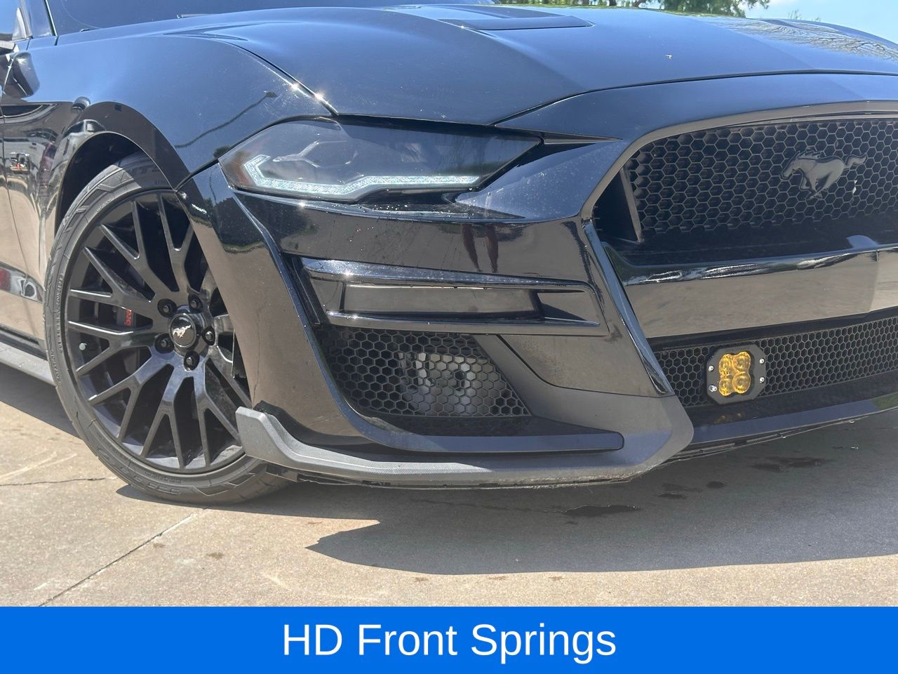 Used 2019 Shadow Black Ford GT image 4