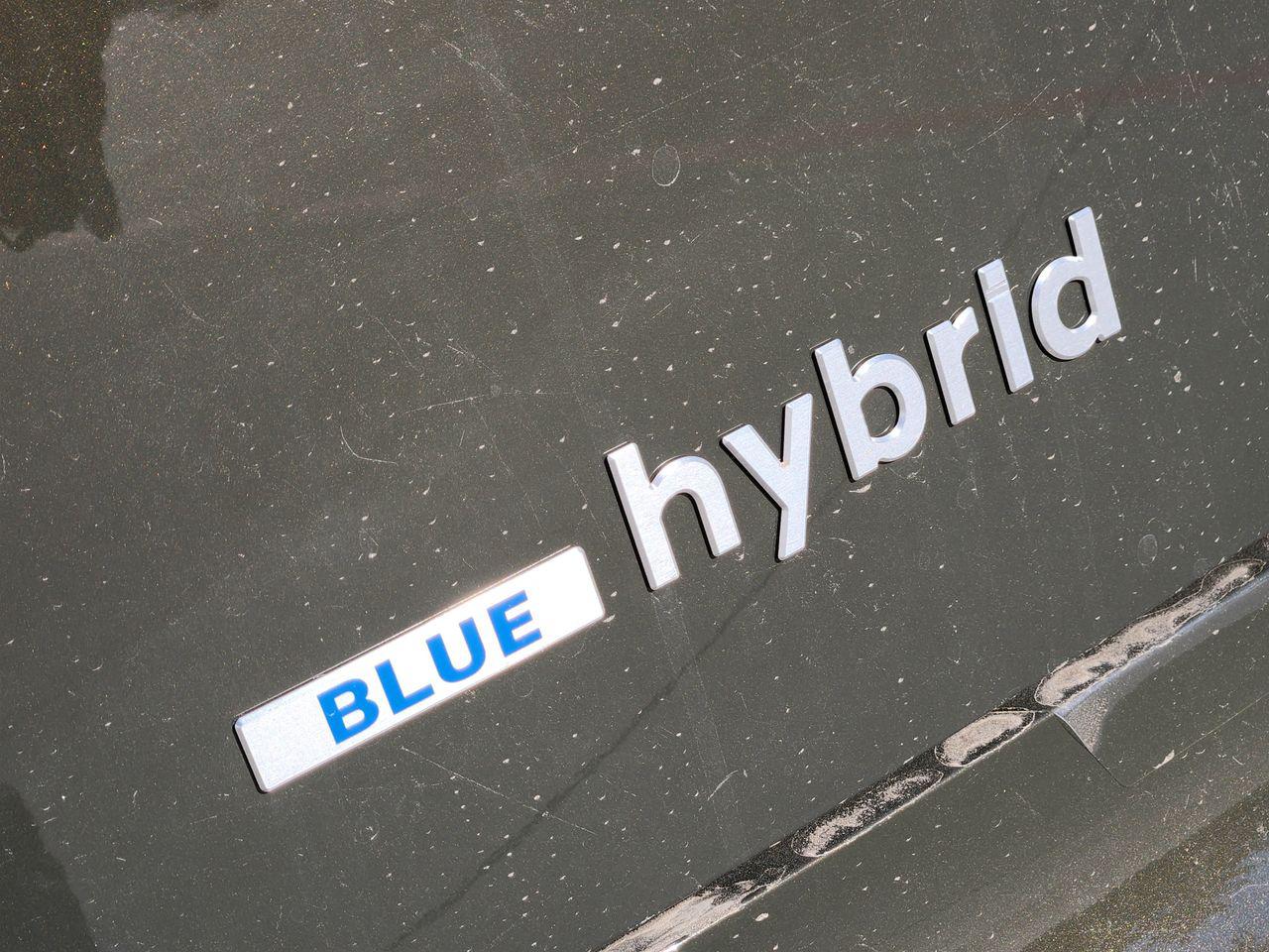 New 2026 TCP Hyundai Blue SEL Premium 7P image 9